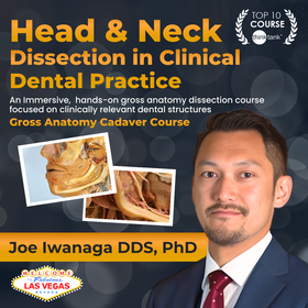 Clinical Head & Neck Anatomy Through Cadaver Dissection - CADAVER LAB